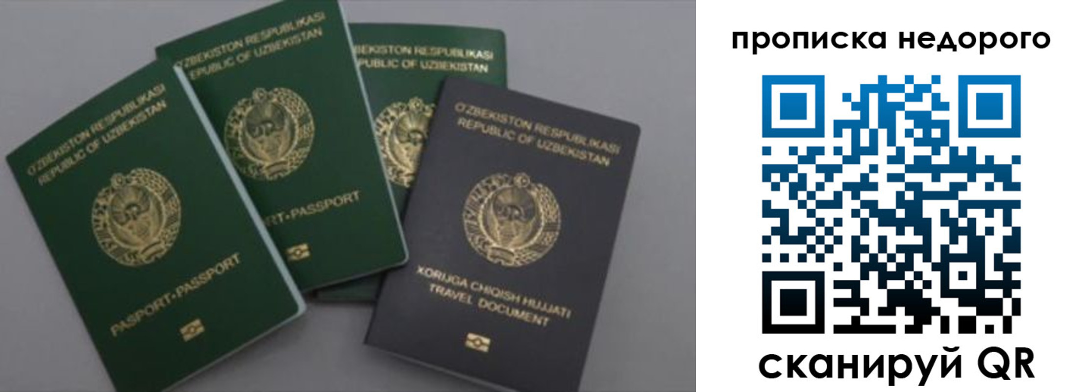 регистрация для школы в Мытищах